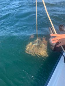 Nainamo Fishing Charters